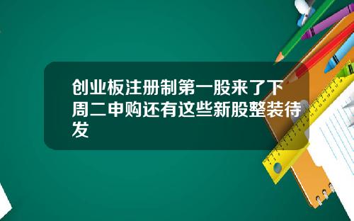 创业板注册制第一股来了下周二申购还有这些新股整装待发