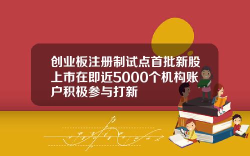 创业板注册制试点首批新股上市在即近5000个机构账户积极参与打新