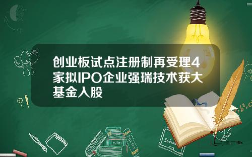 创业板试点注册制再受理4家拟IPO企业强瑞技术获大基金入股