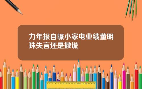 力年报自曝小家电业绩董明珠失言还是撒谎