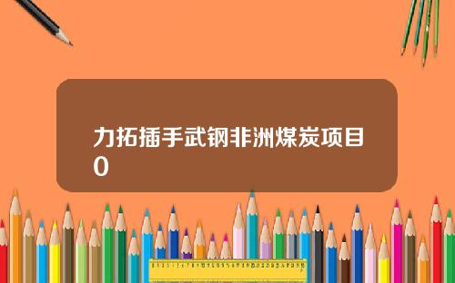 力拓插手武钢非洲煤炭项目0