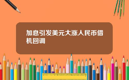 加息引发美元大涨人民币借机回调