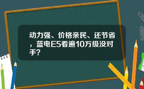 动力强、价格亲民、还节省，蓝电E5看遍10万级没对手？