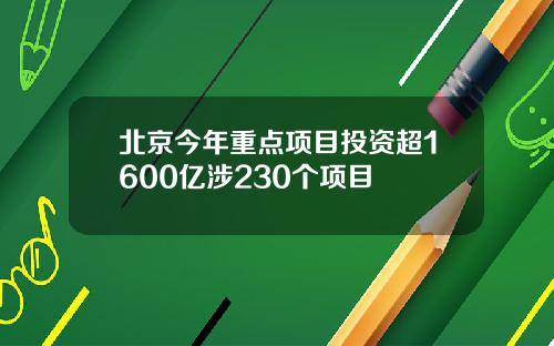 北京今年重点项目投资超1600亿涉230个项目