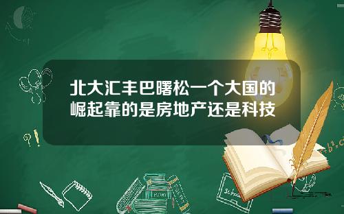 北大汇丰巴曙松一个大国的崛起靠的是房地产还是科技