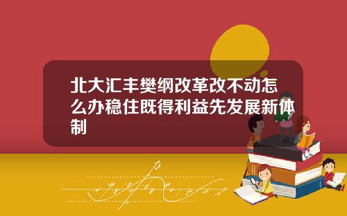 北大汇丰樊纲改革改不动怎么办稳住既得利益先发展新体制