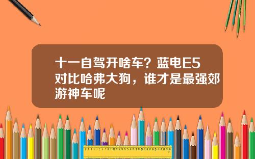 十一自驾开啥车？蓝电E5对比哈弗大狗，谁才是最强郊游神车呢