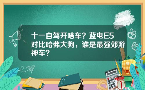 十一自驾开啥车？蓝电E5对比哈弗大狗，谁是最强郊游神车？