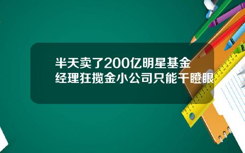 半天卖了200亿明星基金经理狂揽金小公司只能干瞪眼