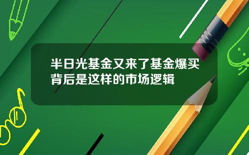 半日光基金又来了基金爆买背后是这样的市场逻辑