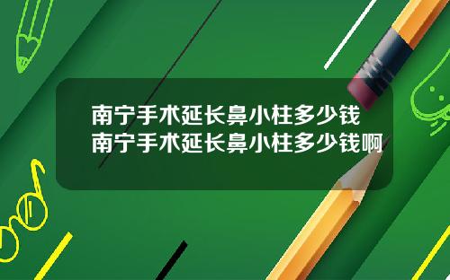 南宁手术延长鼻小柱多少钱南宁手术延长鼻小柱多少钱啊