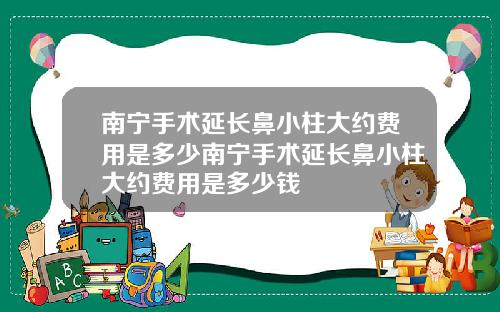 南宁手术延长鼻小柱大约费用是多少南宁手术延长鼻小柱大约费用是多少钱