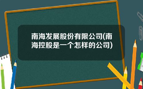 南海发展股份有限公司(南海控股是一个怎样的公司)