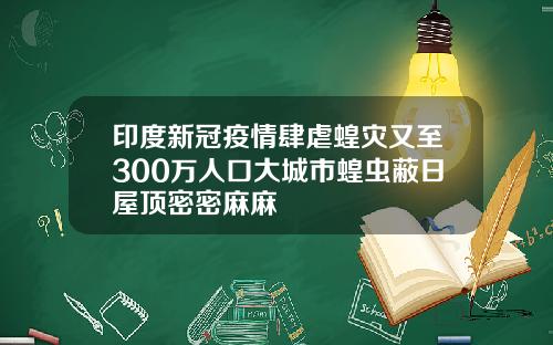 印度新冠疫情肆虐蝗灾又至300万人口大城市蝗虫蔽日屋顶密密麻麻