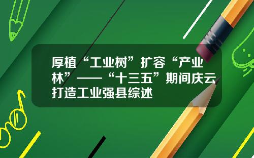 厚植“工业树”扩容“产业林”——“十三五”期间庆云打造工业强县综述