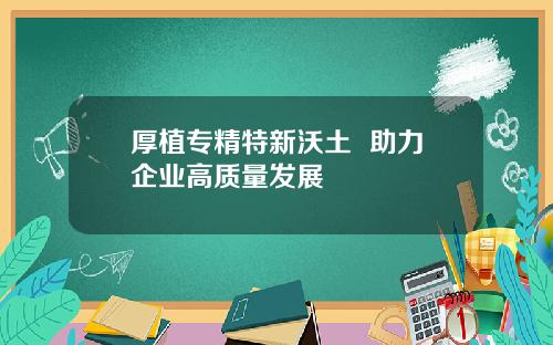 厚植专精特新沃土  助力企业高质量发展