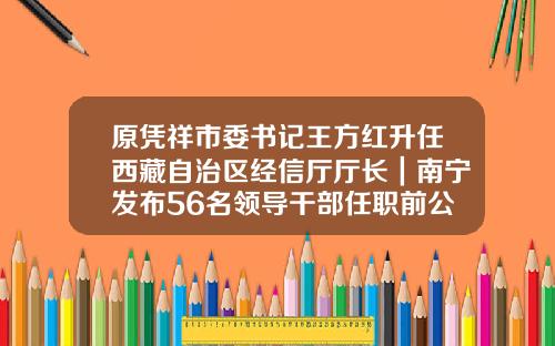 原凭祥市委书记王方红升任西藏自治区经信厅厅长｜南宁发布56名领导干部任职前公示