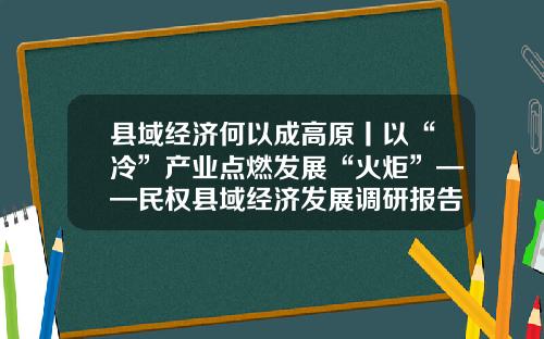 县域经济何以成高原丨以“冷”产业点燃发展“火炬”——民权县域经济发展调研报告