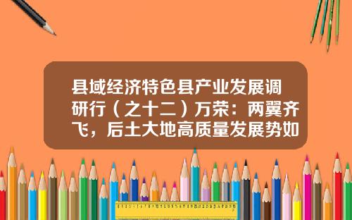 县域经济特色县产业发展调研行（之十二）万荣：两翼齐飞，后土大地高质量发展势如虹