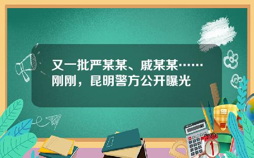 又一批严某某、戚某某……刚刚，昆明警方公开曝光