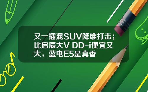 又一插混SUV降维打击；比启辰大V DD-i便宜又大，蓝电E5是真香
