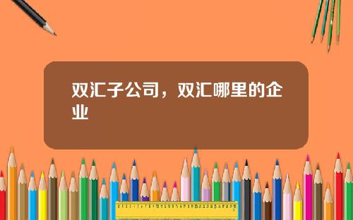 双汇子公司，双汇哪里的企业