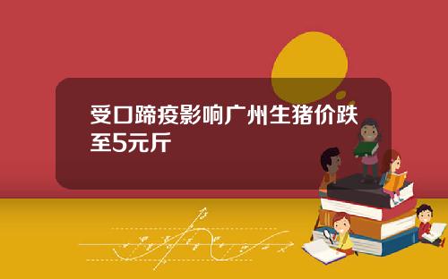 受口蹄疫影响广州生猪价跌至5元斤