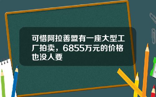 可惜阿拉善盟有一座大型工厂拍卖，6855万元的价格也没人要