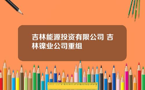 吉林能源投资有限公司 吉林镍业公司重组
