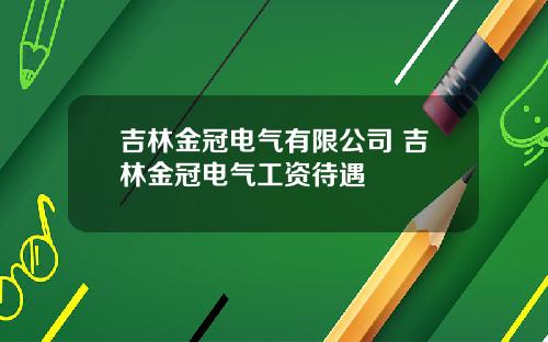 吉林金冠电气有限公司 吉林金冠电气工资待遇