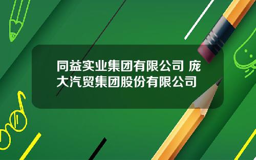 同益实业集团有限公司 庞大汽贸集团股份有限公司