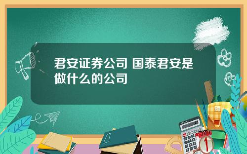 君安证券公司 国泰君安是做什么的公司