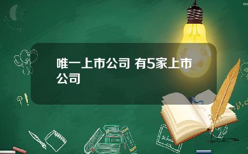 唯一上市公司 有5家上市公司 唯一上市公司 有5家上市公司