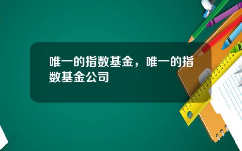 唯一的指数基金，唯一的指数基金公司