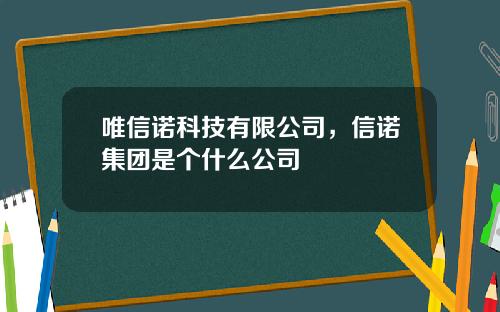 唯信诺科技有限公司，信诺集团是个什么公司