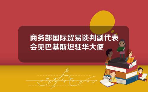 商务部国际贸易谈判副代表会见巴基斯坦驻华大使