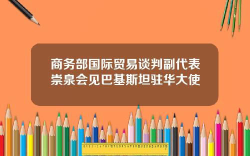 商务部国际贸易谈判副代表崇泉会见巴基斯坦驻华大使