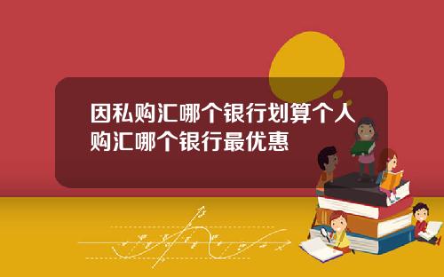 因私购汇哪个银行划算个人购汇哪个银行最优惠