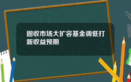固收市场大扩容基金调低打新收益预期