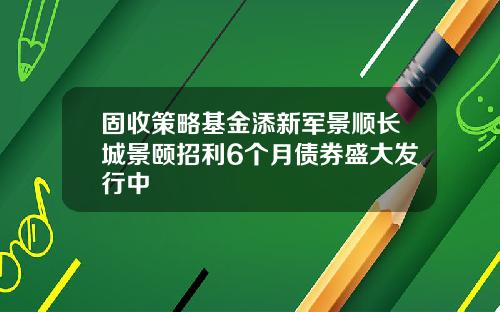 固收策略基金添新军景顺长城景颐招利6个月债券盛大发行中