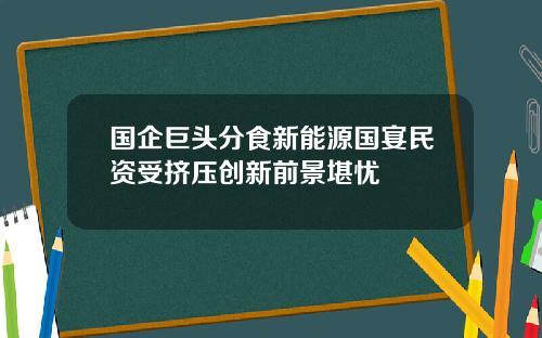 国企巨头分食新能源国宴民资受挤压创新前景堪忧