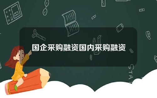 国企采购融资国内采购融资