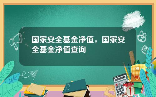 国家安全基金净值，国家安全基金净值查询