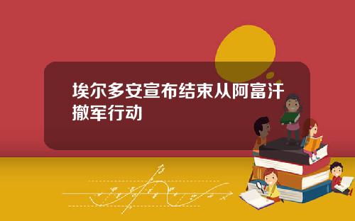 埃尔多安宣布结束从阿富汗撤军行动