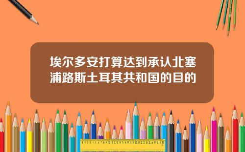 埃尔多安打算达到承认北塞浦路斯土耳其共和国的目的