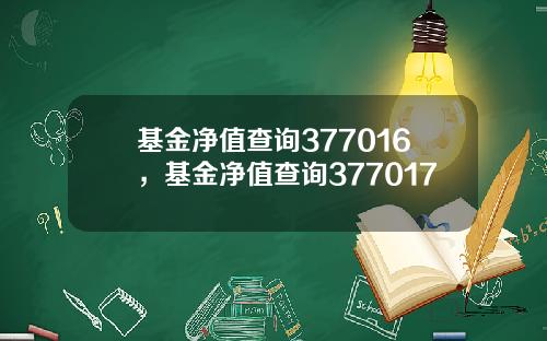 基金净值查询377016，基金净值查询377017
