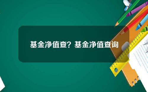 基金净值查？基金净值查询