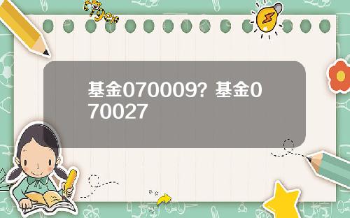 基金070009？基金070027
