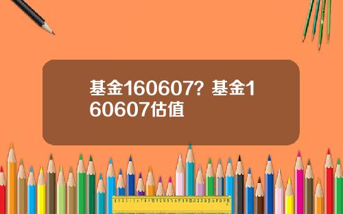 基金160607？基金160607估值