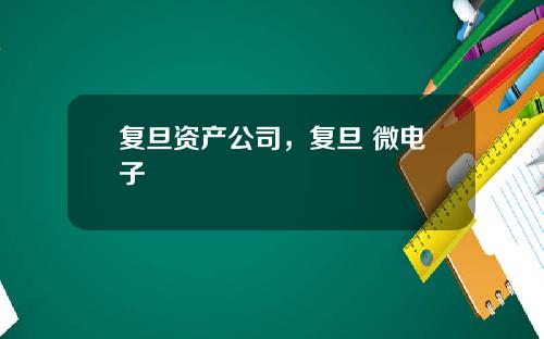 复旦资产公司，复旦 微电子